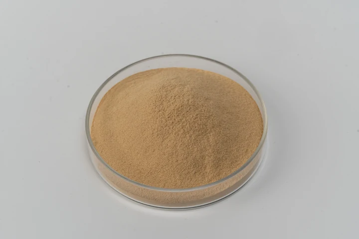 Chromium-enriched yeast powder sample in a glass dish