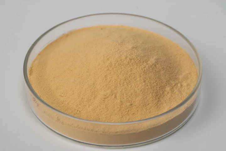 Selenium-enriched yeast powder sample in a glass dish