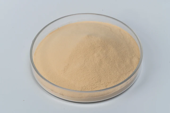 Yeast powder sample in a glass dish